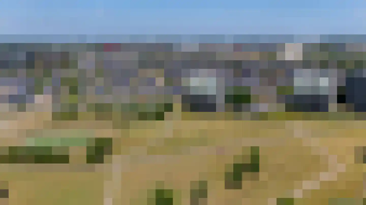 Luzernevlinder 122 Utrecht thumbnail 47