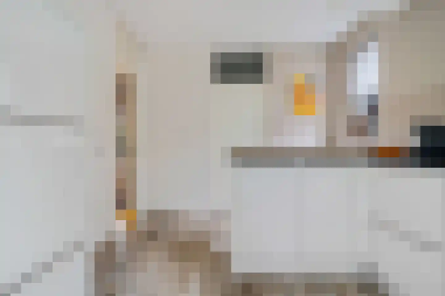 Luzernevlinder 147 Meppel thumbnail 18