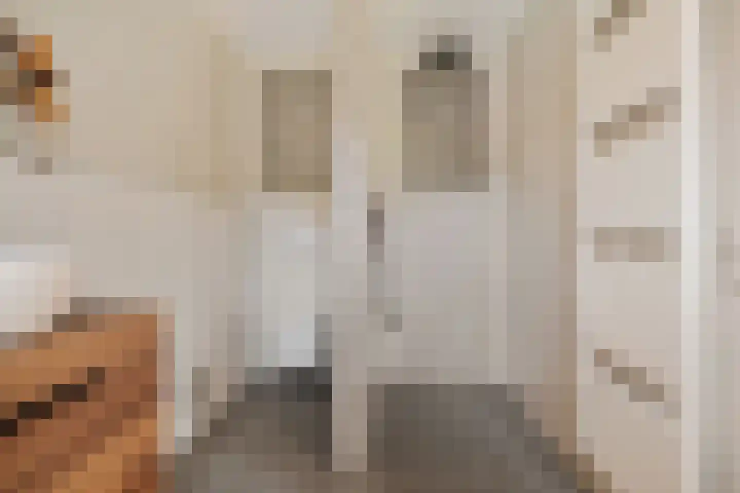Luzernevlinder 147 Meppel thumbnail 23