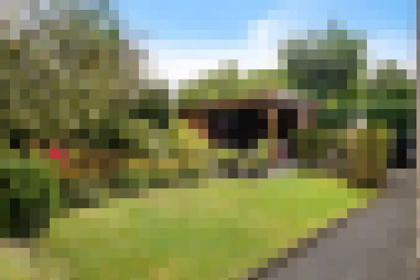Luzernevlinder 147 Meppel thumbnail 4