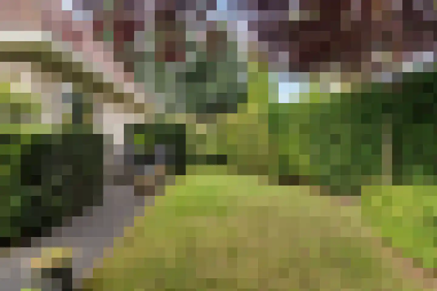 Luzernevlinder 147 Meppel thumbnail 43
