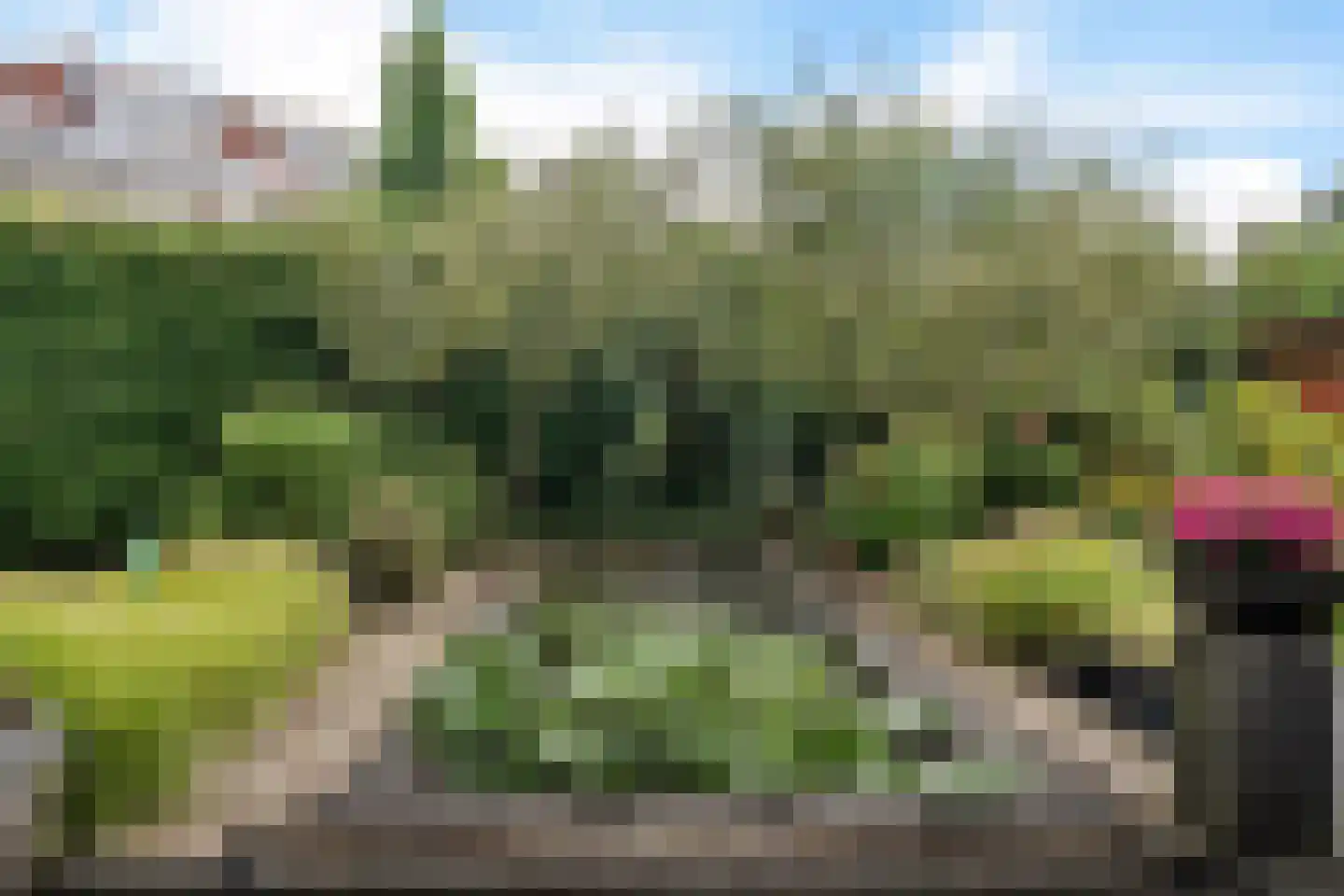 Luzernevlinder 147 Meppel thumbnail 45
