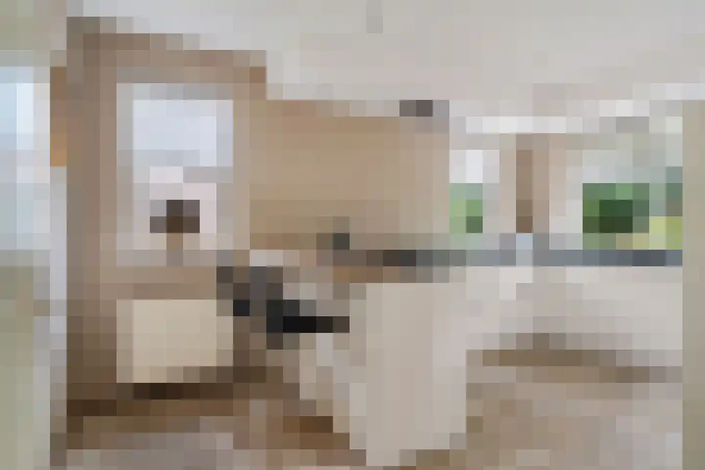 Luzernevlinder 147 Meppel thumbnail 5