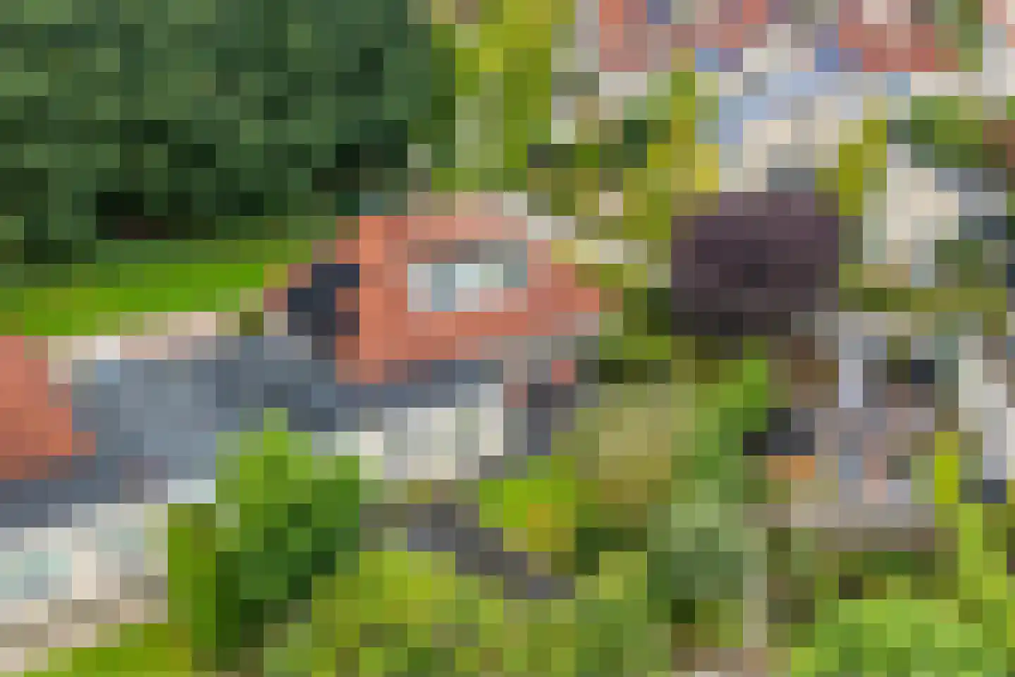 Luzernevlinder 147 Meppel thumbnail 50