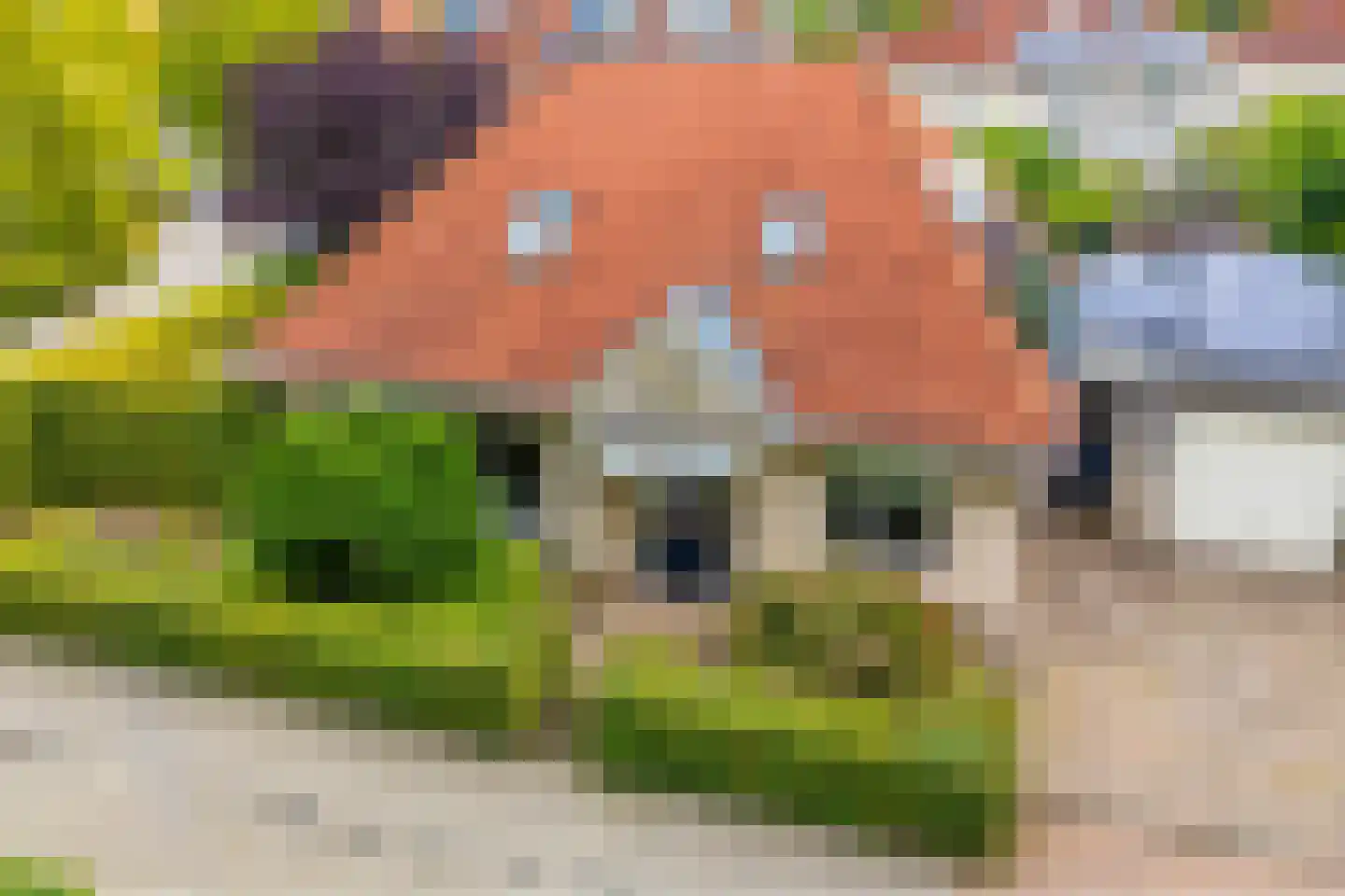 Luzernevlinder 147 Meppel thumbnail 53