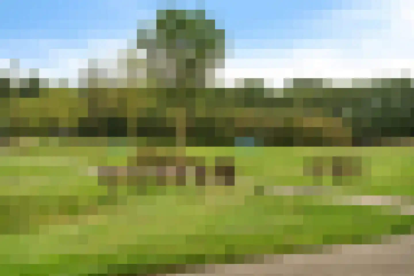 Luzernevlinder 147 Meppel thumbnail 58