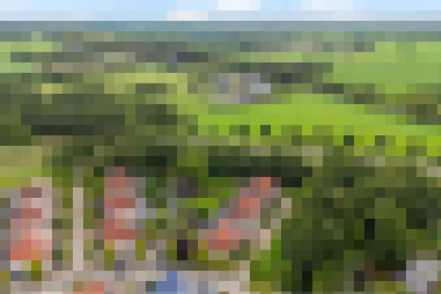 Luzernevlinder 147 Meppel thumbnail 60