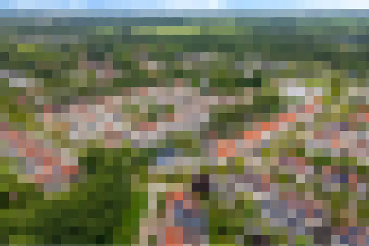 Luzernevlinder 147 Meppel thumbnail 61