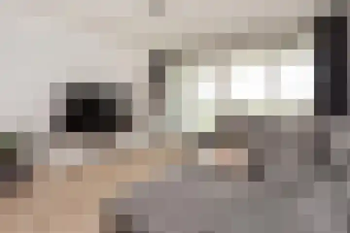 Luzernevlinder 76 Utrecht thumbnail 11