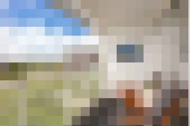 Luzernevlinder 76 Utrecht thumbnail 13