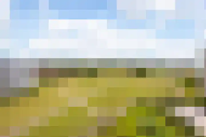 Luzernevlinder 76 Utrecht thumbnail 15
