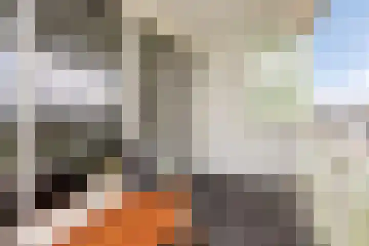 Luzernevlinder 76 Utrecht thumbnail 16