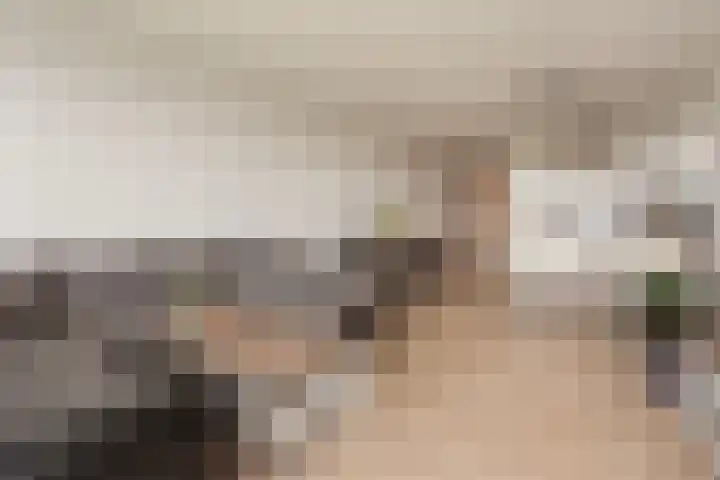 Luzernevlinder 76 Utrecht thumbnail 17