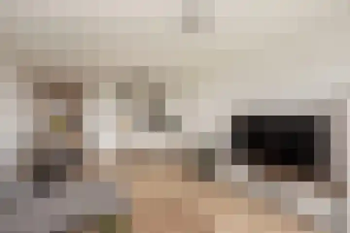 Luzernevlinder 76 Utrecht thumbnail 18