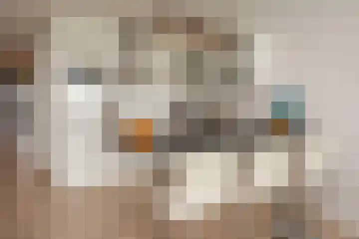 Luzernevlinder 76 Utrecht thumbnail 19