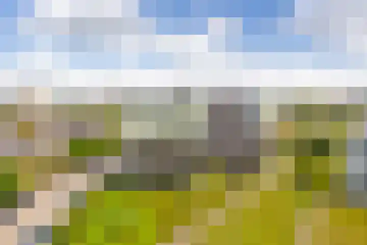 Luzernevlinder 76 Utrecht thumbnail 31