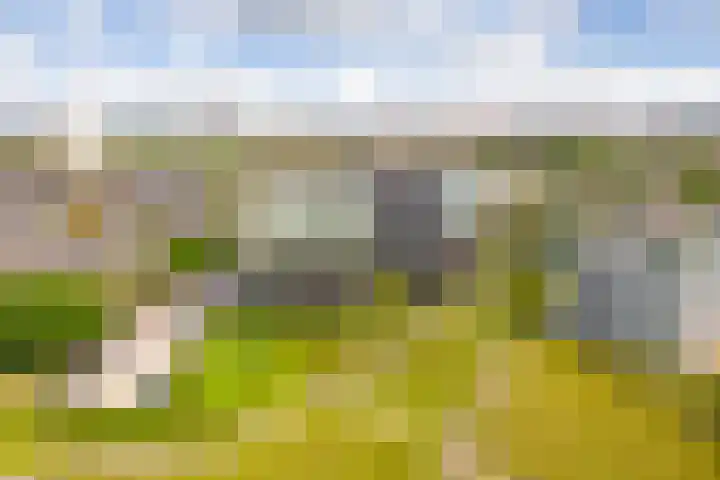 Luzernevlinder 76 Utrecht thumbnail 32