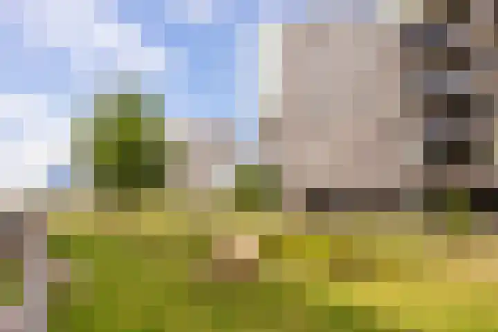Luzernevlinder 76 Utrecht thumbnail 35