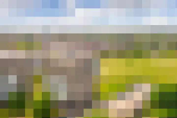 Luzernevlinder 76 Utrecht thumbnail 37