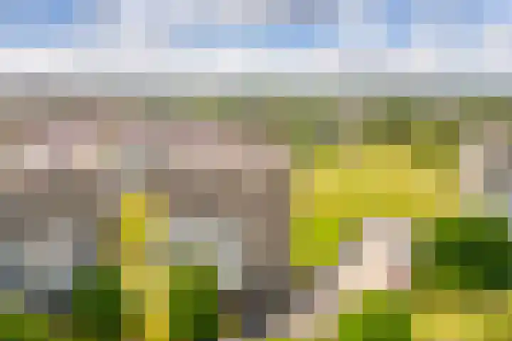 Luzernevlinder 76 Utrecht thumbnail 38