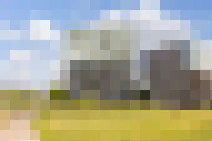 Luzernevlinder 76 Utrecht thumbnail 4