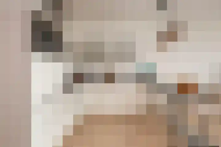 Luzernevlinder 76 Utrecht thumbnail 6