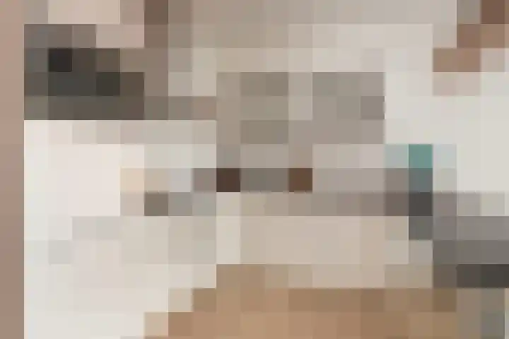 Luzernevlinder 76 Utrecht thumbnail 7