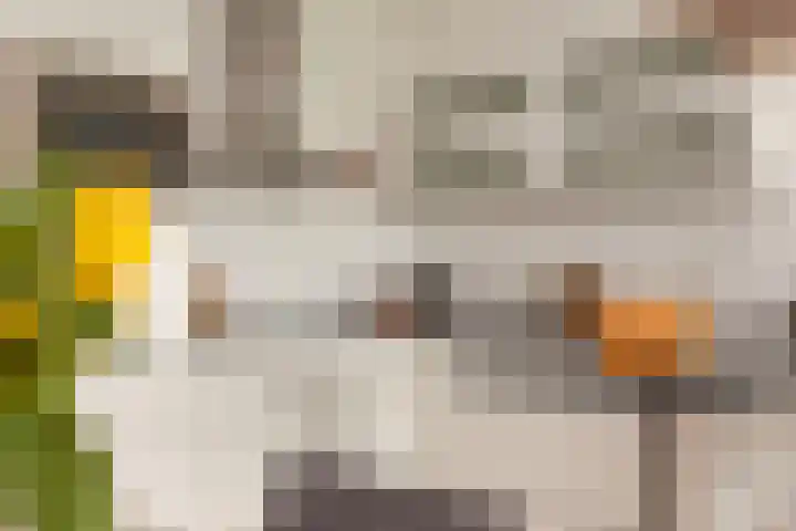 Luzernevlinder 76 Utrecht thumbnail 9