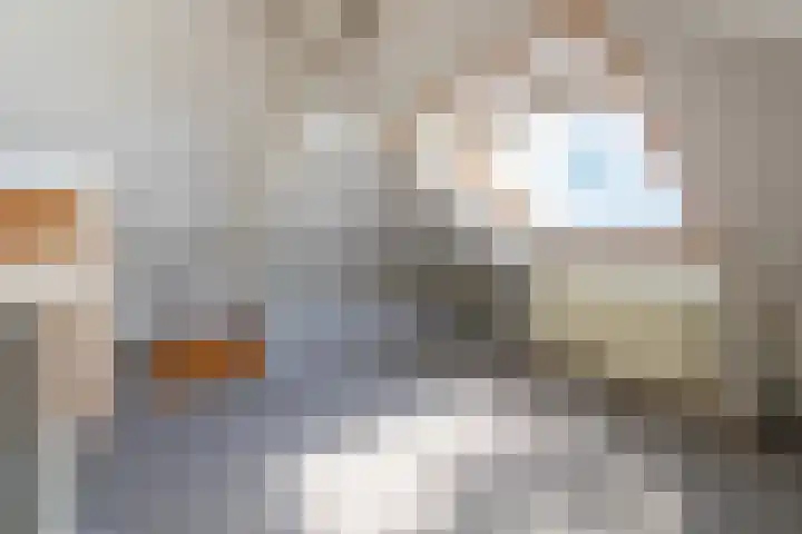 Lyceumlaan 14 Zeist thumbnail 27