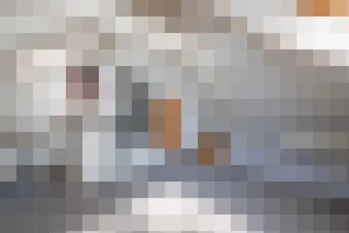 Lyceumlaan 14 Zeist thumbnail 28