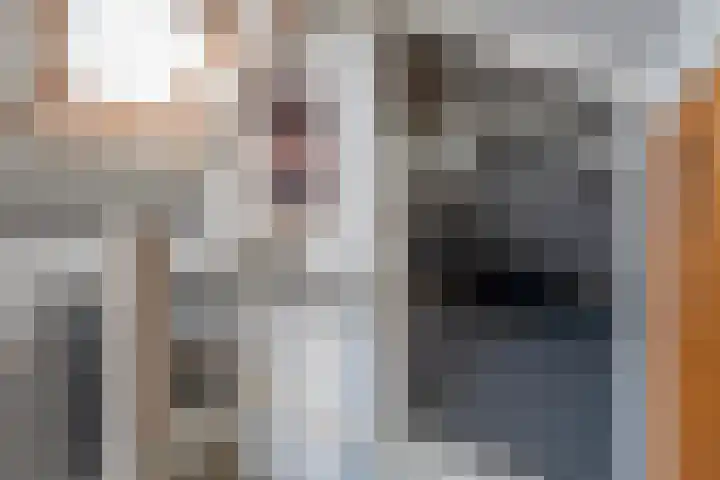 Lyceumlaan 14 Zeist thumbnail 29