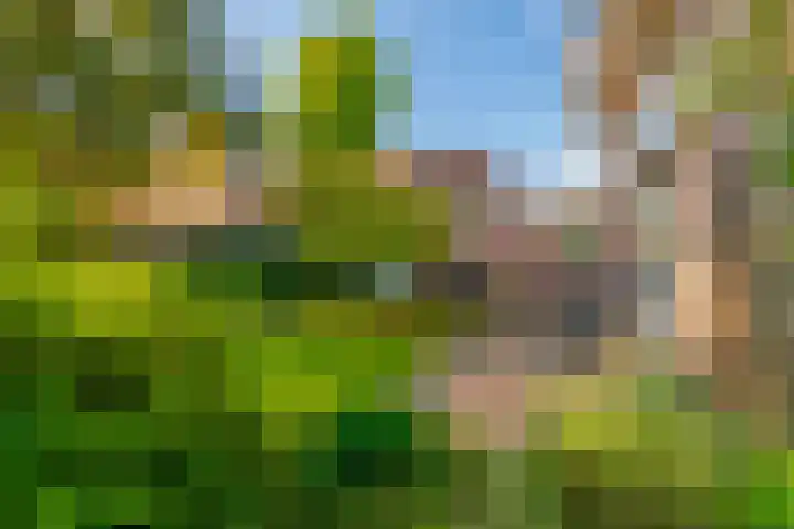 Lyceumlaan 14 Zeist thumbnail 31