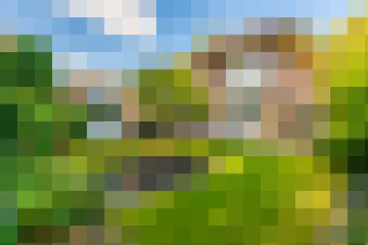 Lyceumlaan 14 Zeist thumbnail 32