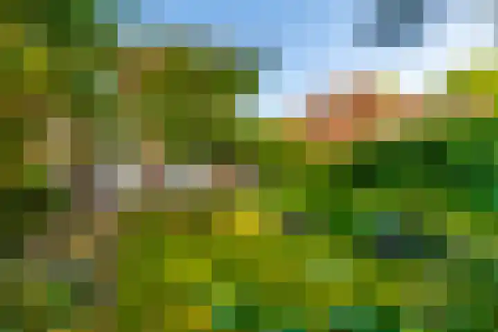 Lyceumlaan 14 Zeist thumbnail 33
