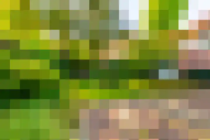 Lyceumlaan 14 Zeist thumbnail 35