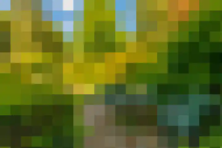 Lyceumlaan 14 Zeist thumbnail 37