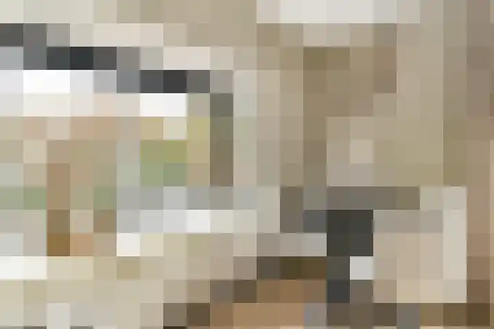 Lyceumlaan 2 Vlaardingen thumbnail 16