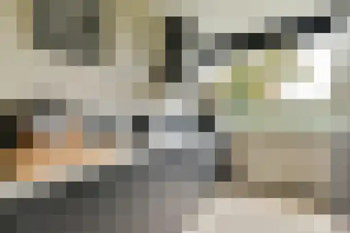 Lyceumlaan 2 Vlaardingen thumbnail 18