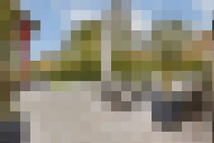 Lyceumlaan 2 Vlaardingen thumbnail 24