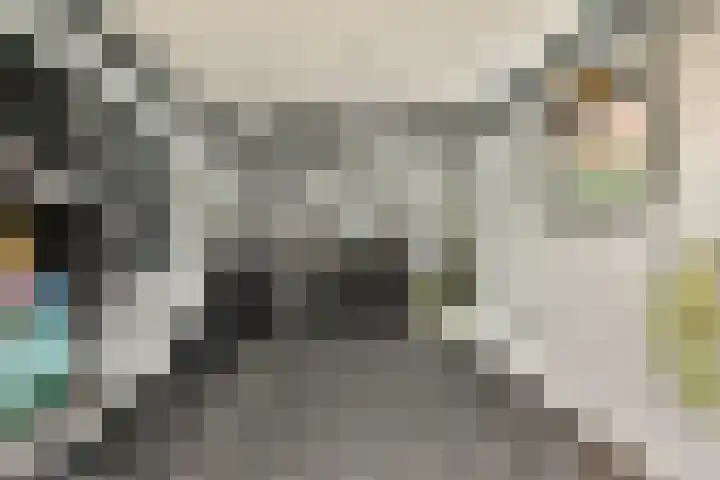 Lyceumlaan 2 Vlaardingen thumbnail 29