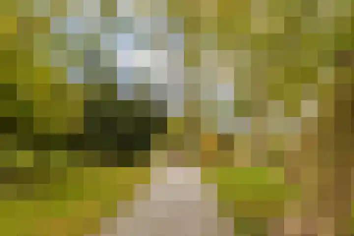 Lyceumlaan 2 Vlaardingen thumbnail 40
