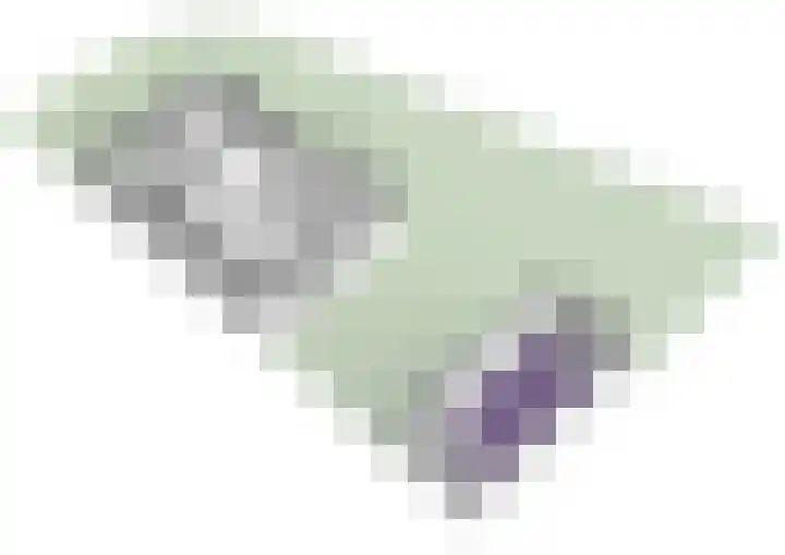 Lyceumlaan 2 Vlaardingen thumbnail 43