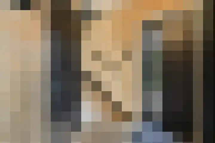 Lyceumlaan 2 Vlaardingen thumbnail 8