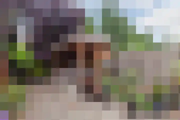 Lyceumlaan 22 Vlaardingen thumbnail 19