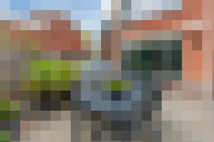 Lyceumlaan 22 Vlaardingen thumbnail 22