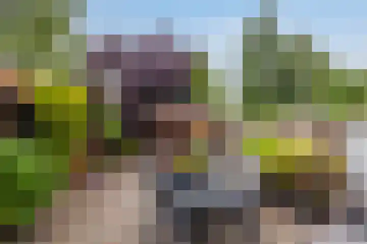 Lyceumlaan 22 Vlaardingen thumbnail 4