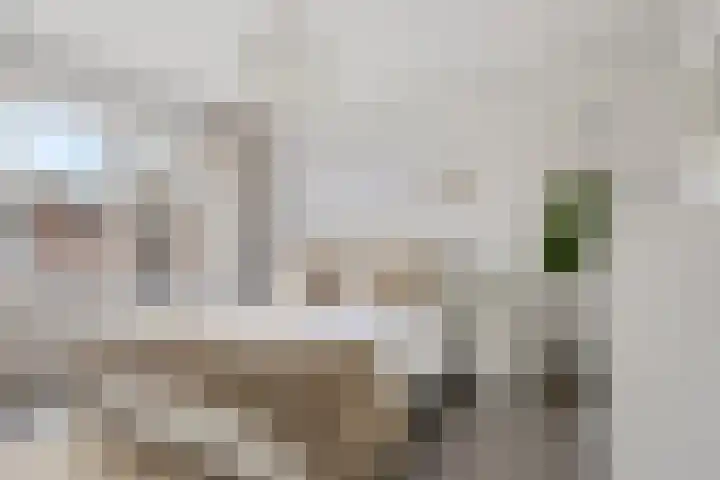 Lyceumlaan 25 Enschede thumbnail 19