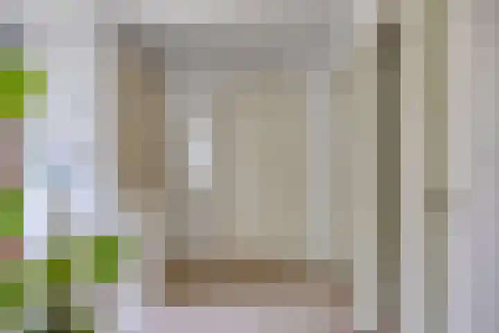 Lyceumlaan 36 Zeist thumbnail 16