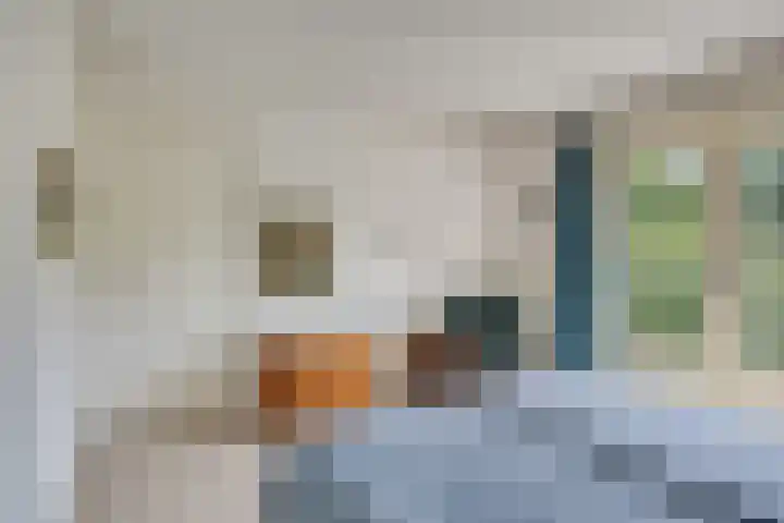 Lyceumlaan 36 Zeist thumbnail 18