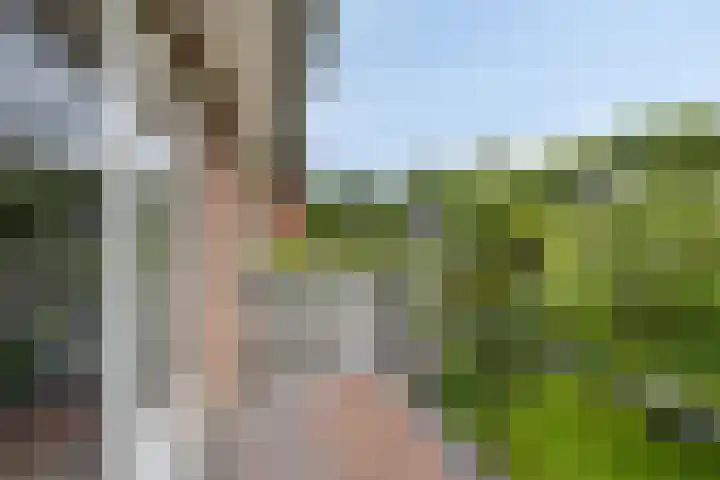 Lyceumlaan 36 Zeist thumbnail 19